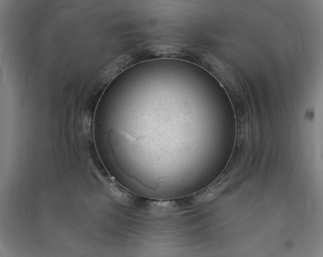 X0000091090281200708201504