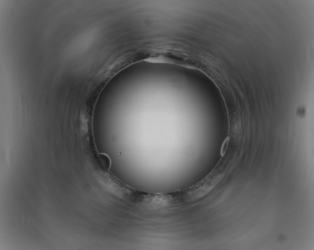 X0000091090282200708201504