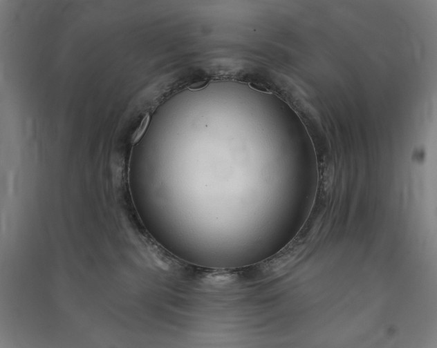 X0000091090283200708201504