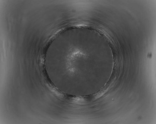 X0000091090284200708201504