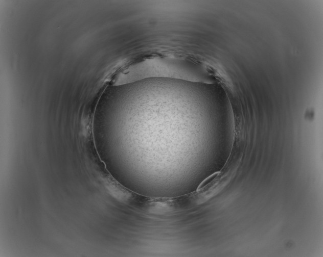 X0000091090285200708201504