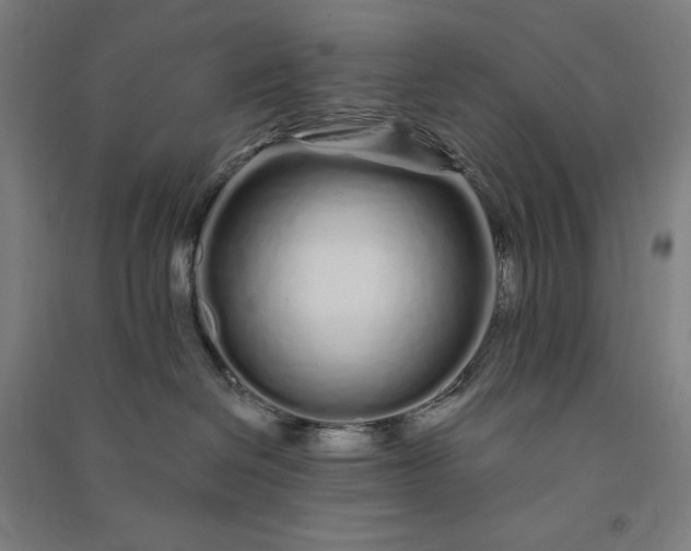 X0000091090286200708201504