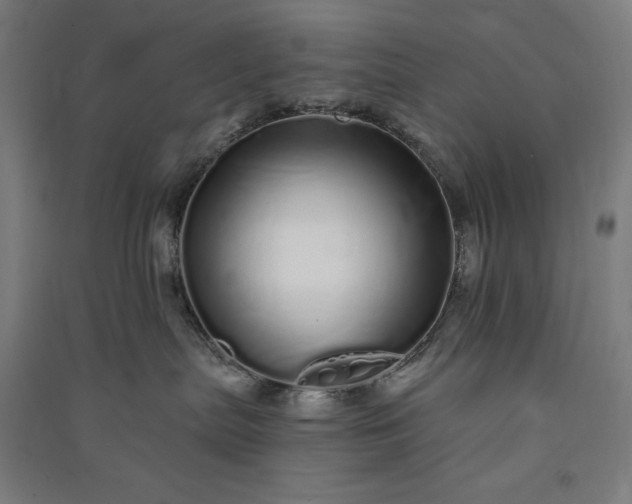 X0000091090287200708201504