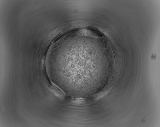 X0000091090288200708201504