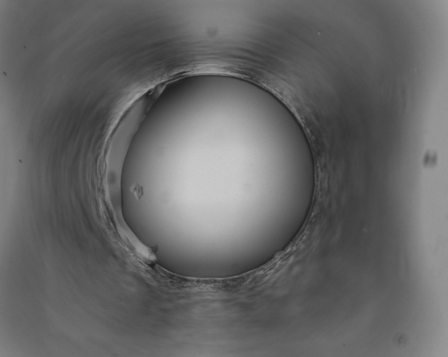 X0000091090289200708201504