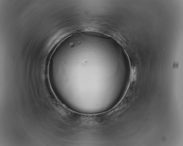 X0000091090291200708201504