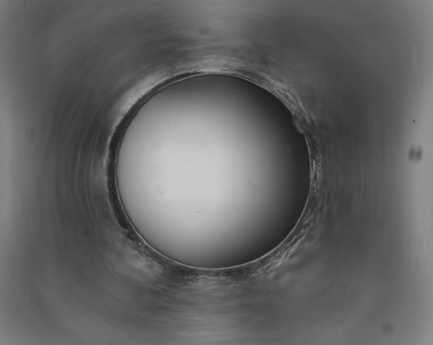 X0000091090292200708201504