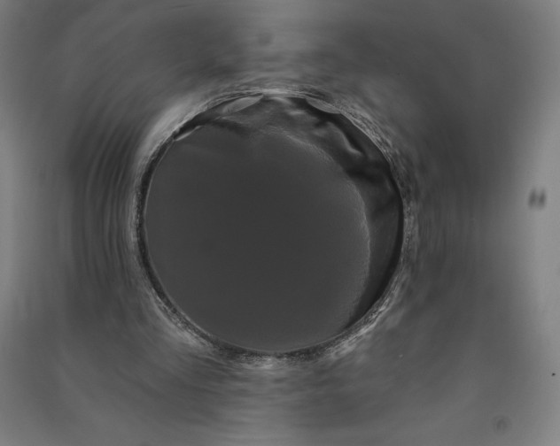 X0000091090293200708201504