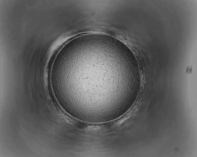 X0000091090294200708201504