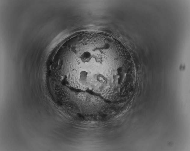 X0000091090295200708201504