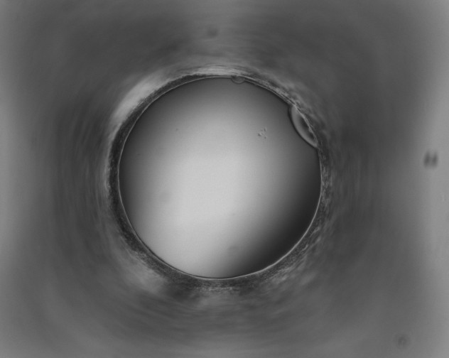 X0000091090296200708201504