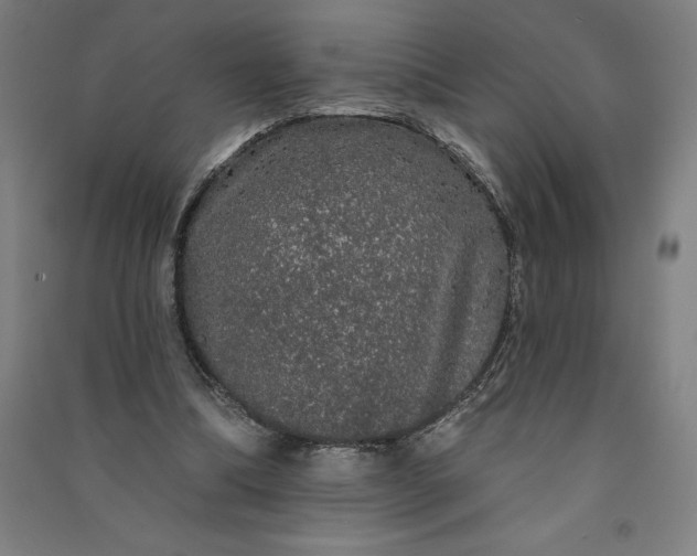 X0000091090298200708201504