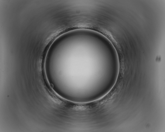 X0000091090299200708201504