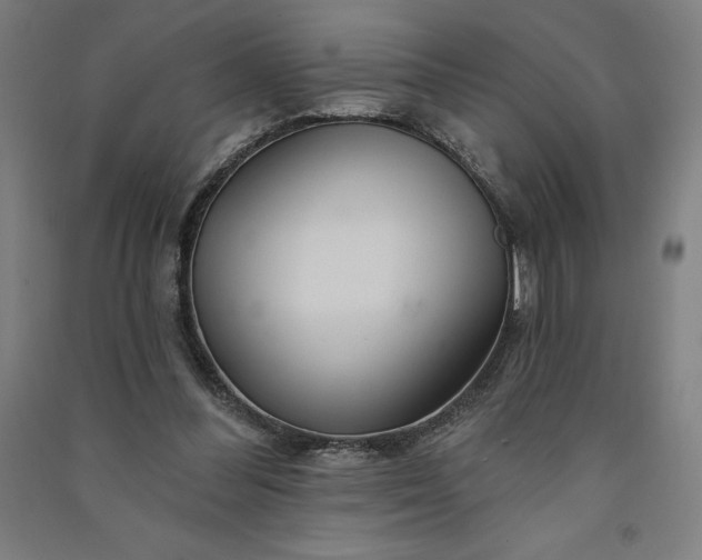 X0000091090300200708201504