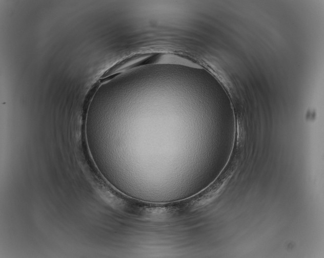 X0000091090301200708201504