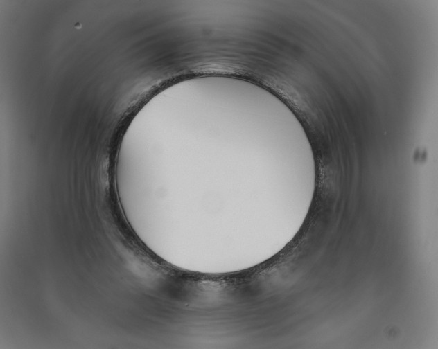 X0000091090302200708201504