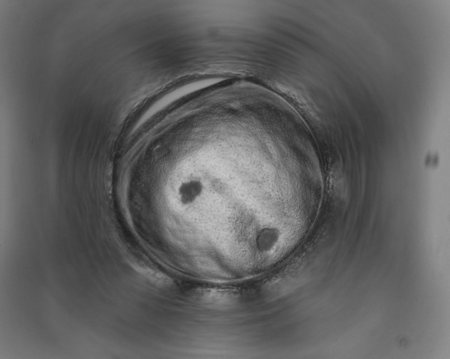 X0000091090303200708201504