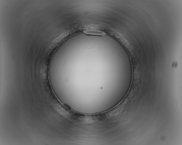 X0000091090305200708201503