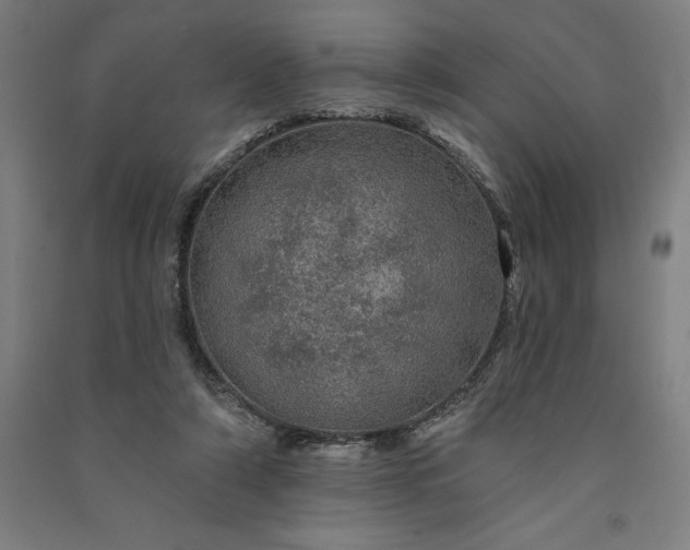 X0000091090306200708201503