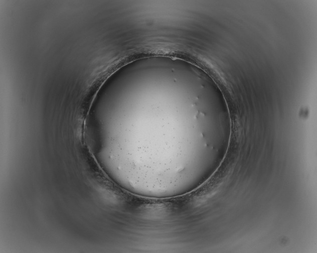 X0000091090307200708201503