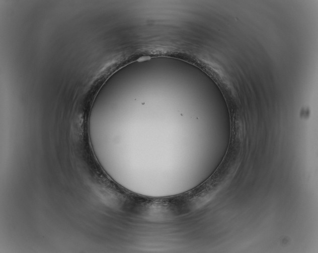 X0000091090308200708201503