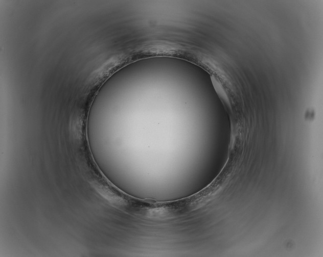 X0000091090309200708201503