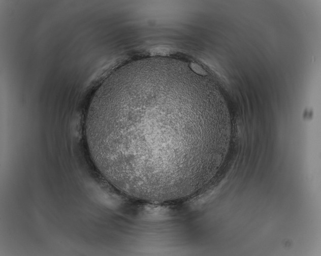 X0000091090311200708201503