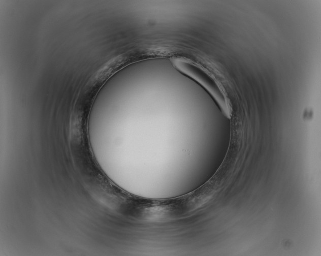 X0000091090312200708201503