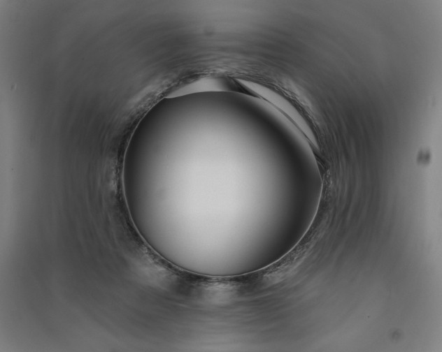 X0000091090313200708201503