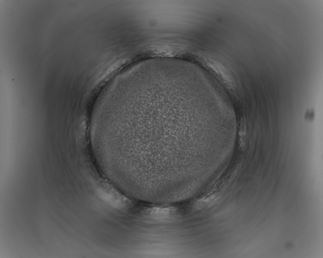 X0000091090314200708201503