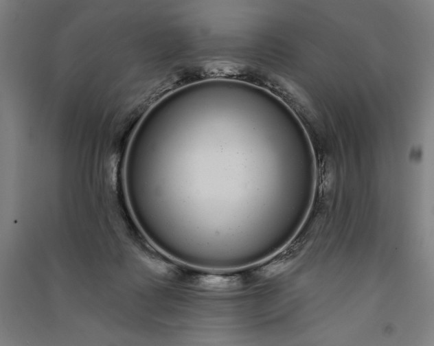 X0000091090315200708201503