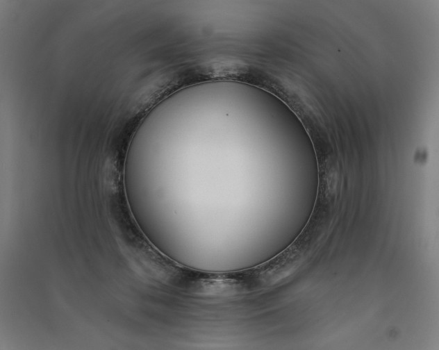 X0000091090316200708201503