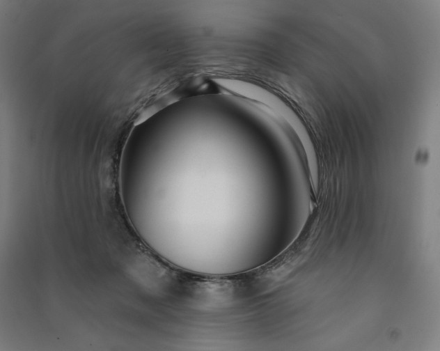 X0000091090317200708201503