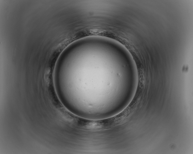 X0000091090319200708201503