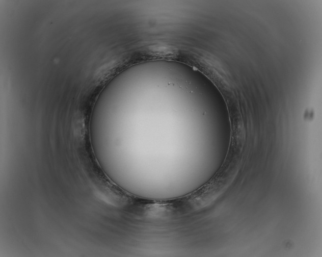 X0000091090320200708201503