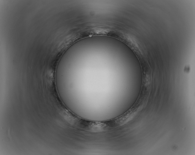 X0000091090321200708201503