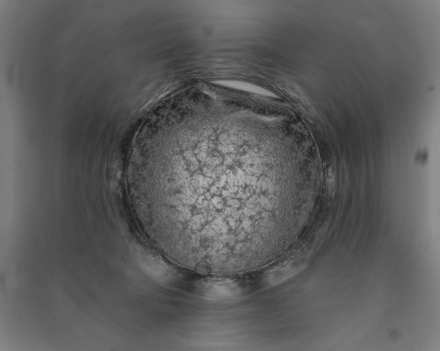 X0000091090322200708201503