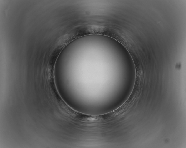 X0000091090323200708201503