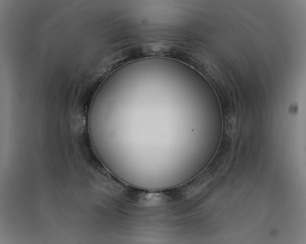 X0000091090324200708201503