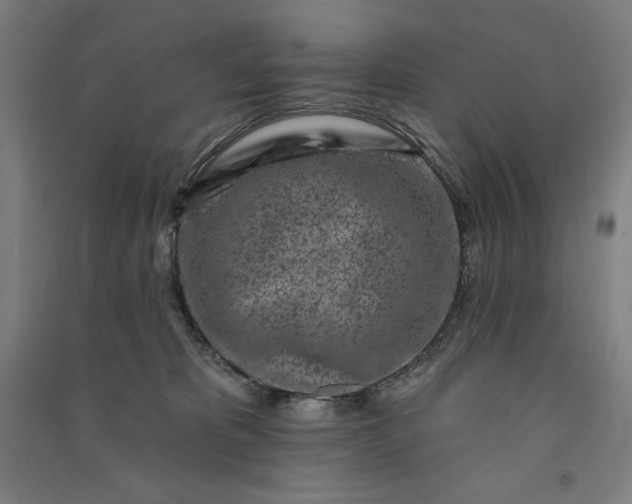 X0000091090325200708201503