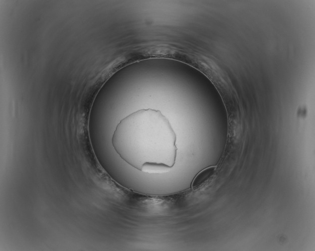 X0000091090326200708201503