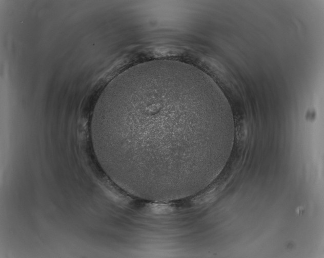 X0000091090327200708201503