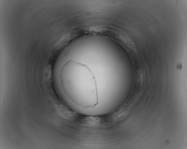 X0000091090328200708201503