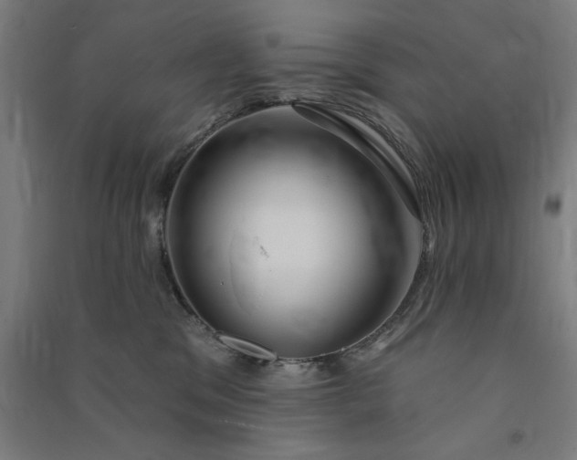 X0000091090329200708201503