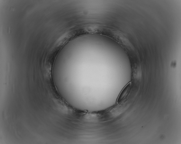 X0000091090332200708201503