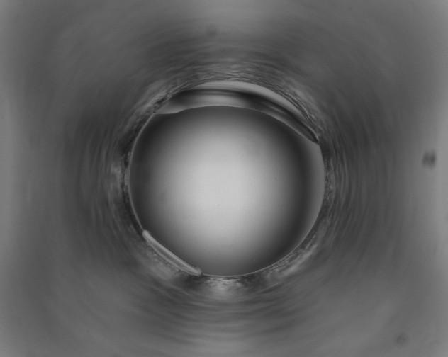 X0000091090333200708201503