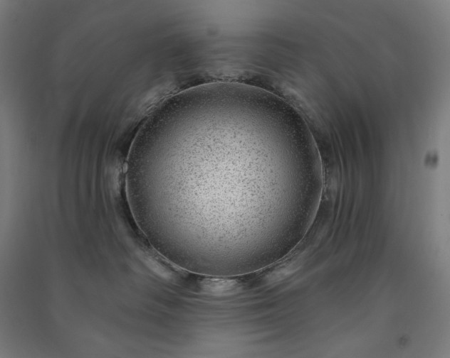 X0000091090334200708201503