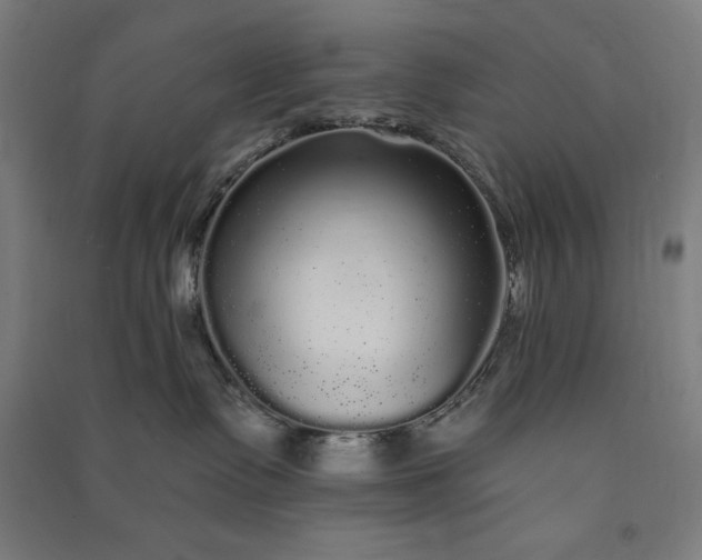 X0000091090335200708201503