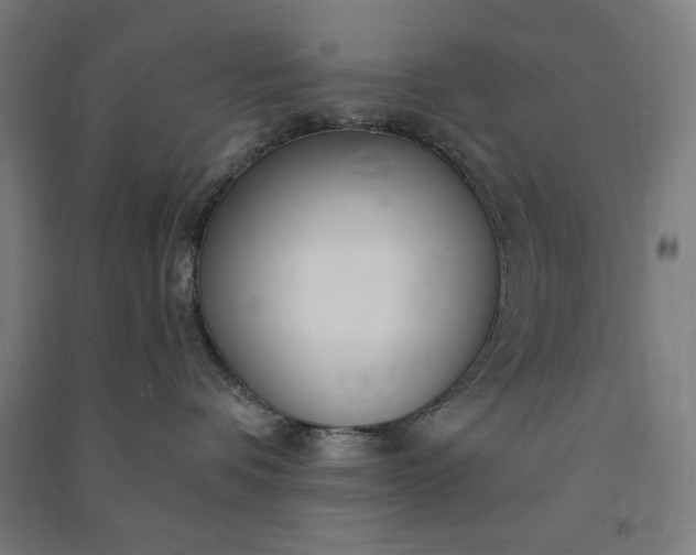 X0000091090336200708201503