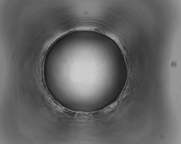 X0000091090337200708201502